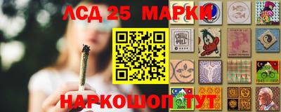 2c-b Камышлов