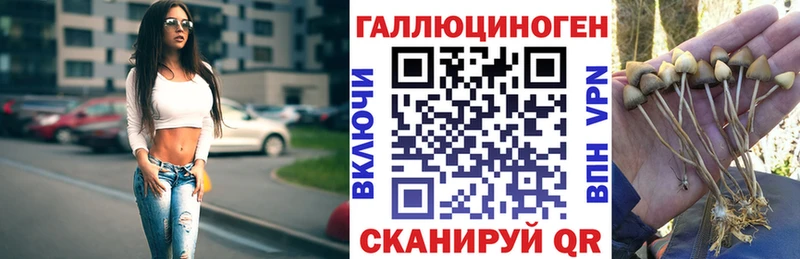 даркнет сайт  Владимир  Галлюциногенные грибы мицелий 
