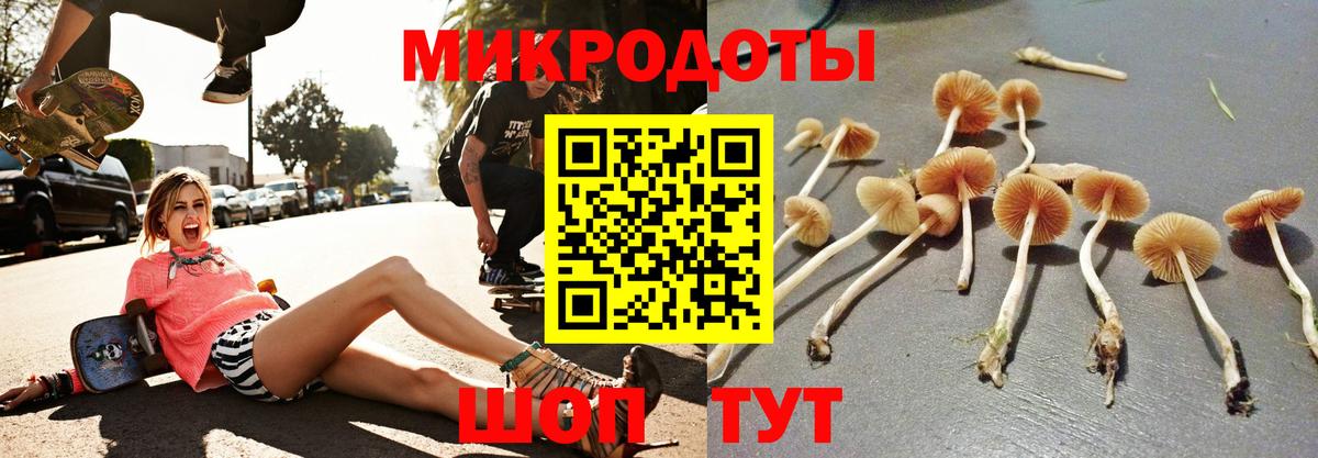 где можно купить   Вход с VPN  Владимир  Псилоцибиновые грибы Psilocybe 