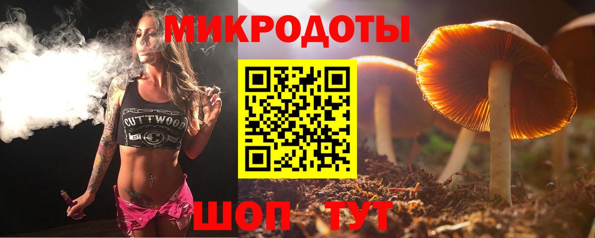 Галлюциногенные грибы прущие грибы Владимир