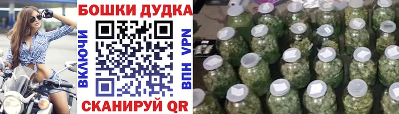 Бошки Шишки тримм  купить наркотики цена  Владимир 